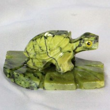 Schildkröte auf Blatt